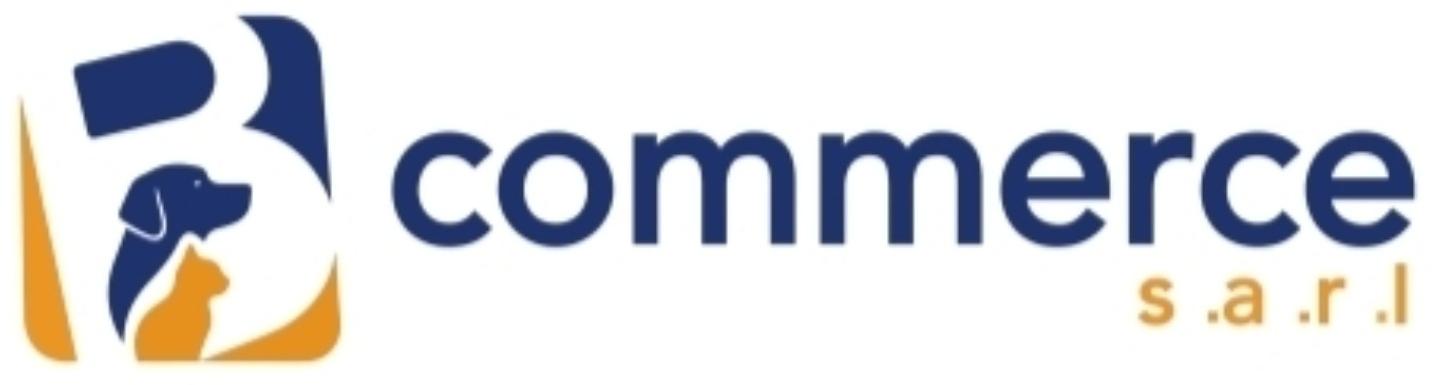 B COMMERCE S.A.R.L