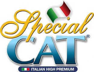 Special Cat Special Cat